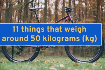 11 things that weigh around 50 kilograms (kg)