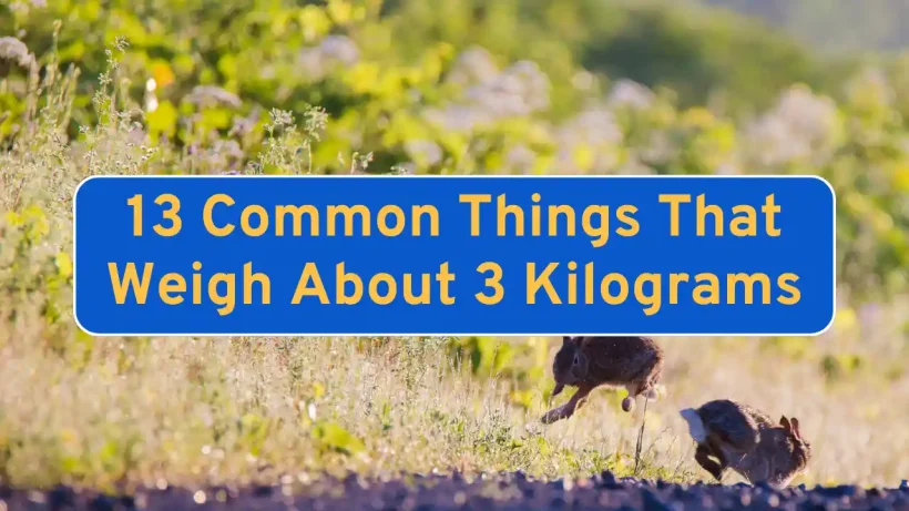 13 Common Things That Weigh About 3 Kilograms