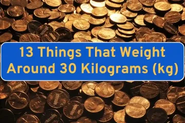 13 Things That Weight Around 30 Kilograms