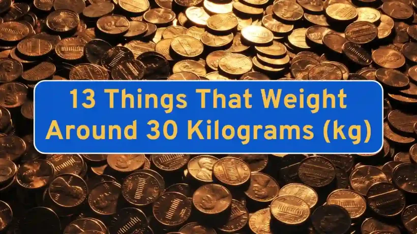 13 Things That Weight Around 30 Kilograms