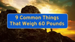 Common Things That Weigh 60 Pounds