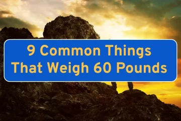 Common Things That Weigh 60 Pounds