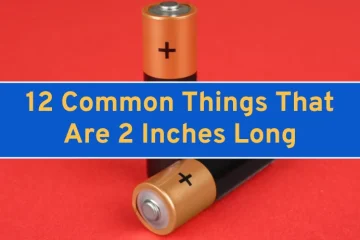 Things That Are 2 Inches Long