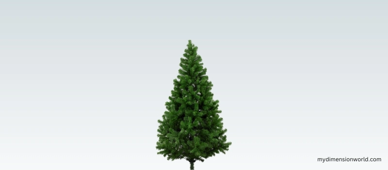 Height of an Artificial Christmas Tree